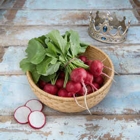 Crunchy King, (F1) Radish Seeds